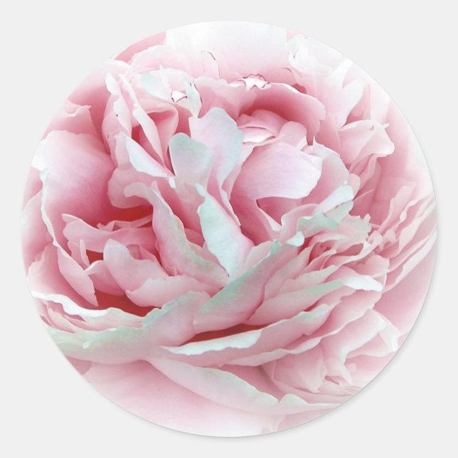 Los Pegatinas de las flores Bodas (Anverso)