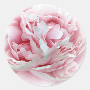 Los Pegatinas de las flores Bodas