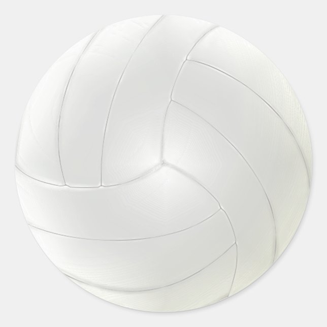 Los pegatinas en blanco del voleibol a la mano (Anverso)