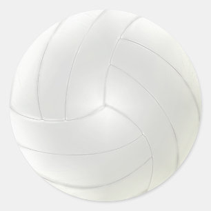 Los pegatinas en blanco del voleibol a la mano