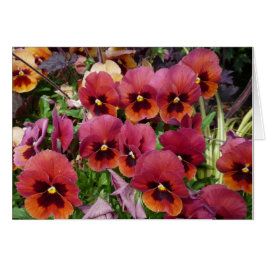 ¡Los pensamientos cardan para usted!