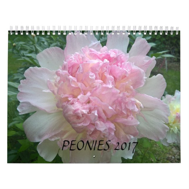 Los Peonies hacen calendarios 2017 (Tapa)