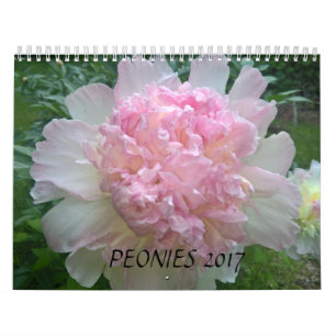 Los Peonies hacen calendarios 2017