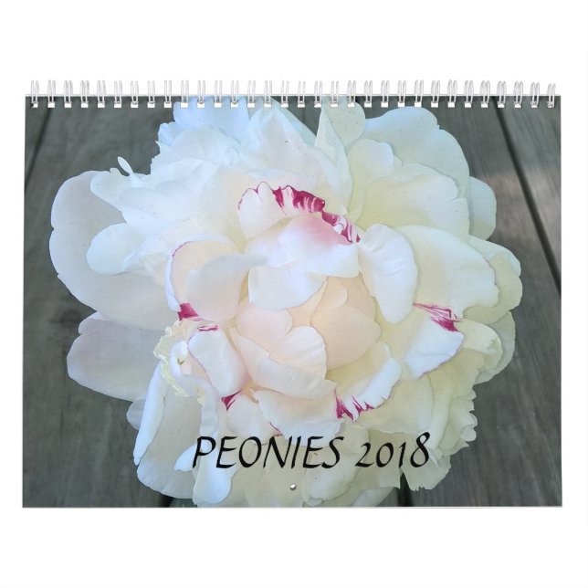 Los Peonies hacen calendarios 2018 (Tapa)