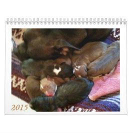 Los perritos de Pitbull crecen el calendario