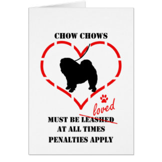 Los perros chinos de perro chino deben ser amados