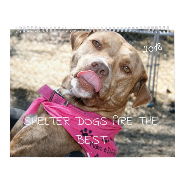 LOS PERROS DE REFUGIO SON EL MEJOR CALENDARIO 2018 (Tapa)
