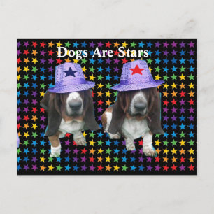 Los perros postales son estrellas