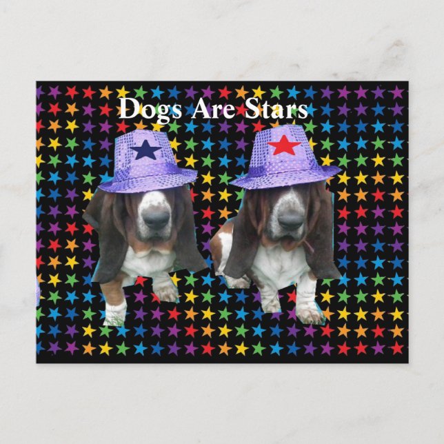 Los perros postales son estrellas (Anverso)