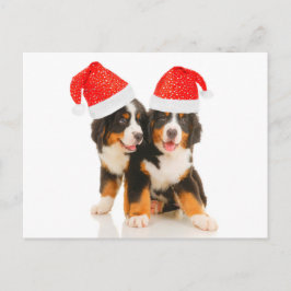 Los perros quieren una Feliz Navidad