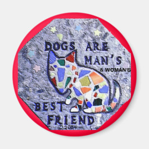 Los perros son imán del mejor amigo del hombre y