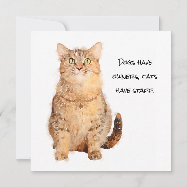 Los perros tienen dueños, los gatos tienen tarjeta (Anverso)