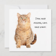 Los perros tienen dueños, los gatos tienen tarjeta