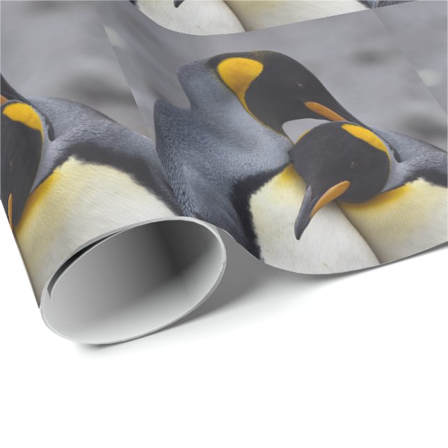 Los pingüinos del rey en papel envuelto en el amor (Esquina del rollo)