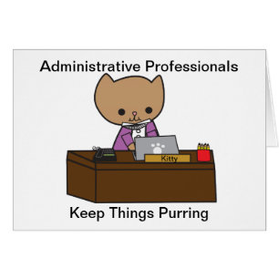Los Profesionales Administrativos Mantienen Las Co