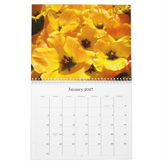 ¡Los profesores de los regalos del calendario son (Jan 2027)