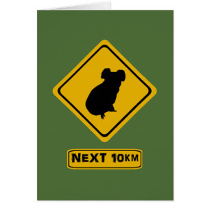 los próximos 10 km koalas