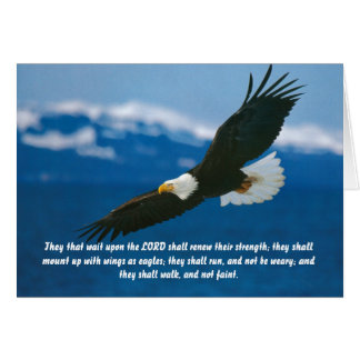 Los Que Esperan Al Señor