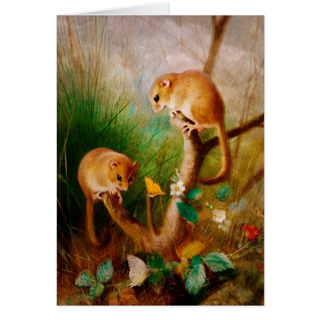 Los ratones son Niza (Frente)