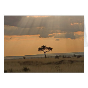 Los rayos del sol atravesando la tarde