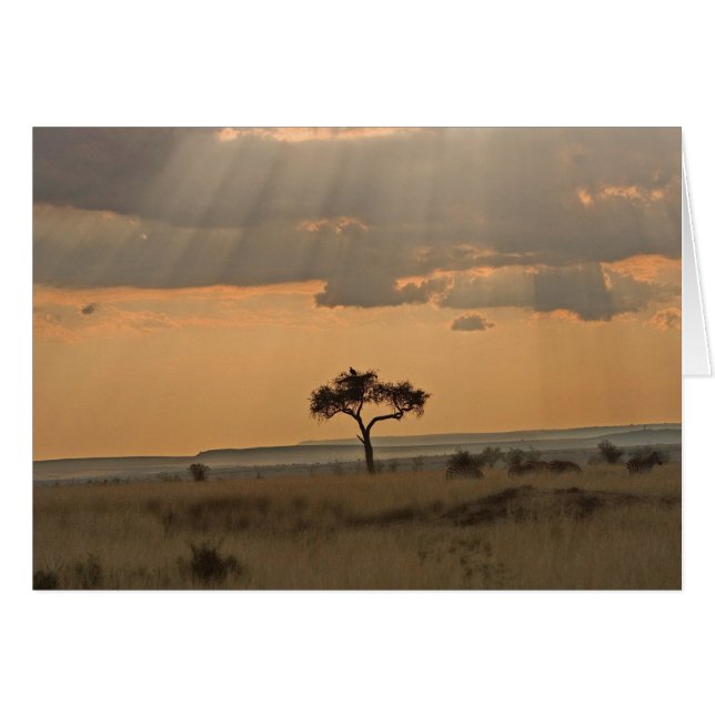 Los rayos del sol atravesando la tarde (Anverso (Horizontal))