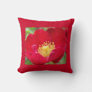 Los rosas son almohada roja