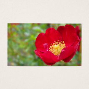 Los rosas son marcadores rojos