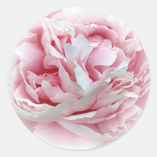 Los Sellos para sobres de las flores Bodas (Anverso)