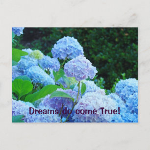 Los sueños sí se Cumplen! postales Hortensia Azul