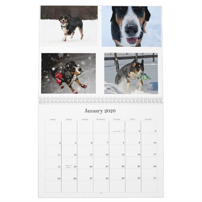 Los suizos lamen el calendario 2011 de Swissies (y (Jan 2026)