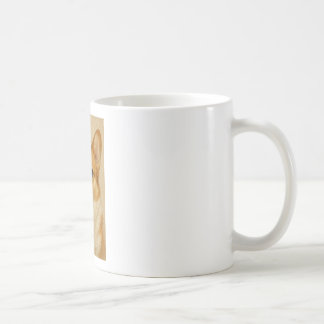 Los tazas de Corgi