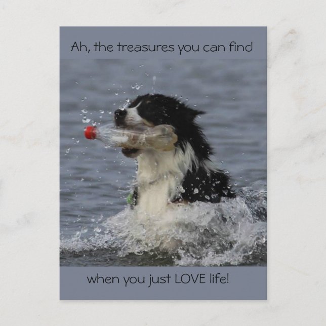 Los tesoros de la vida, postal (Anverso)