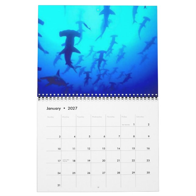 Los tiburones hacen calendarios 2013 (Jan 2027)