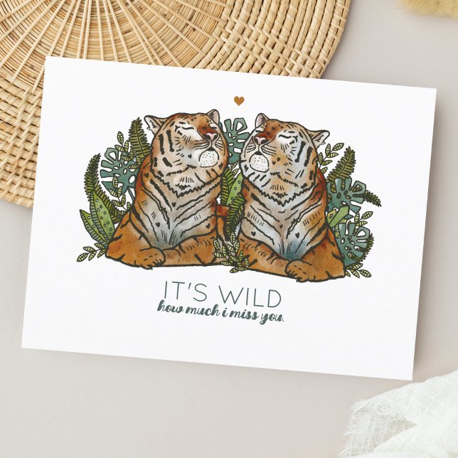 Los tigres pequeños te faltan la postal (Subido por el creador)