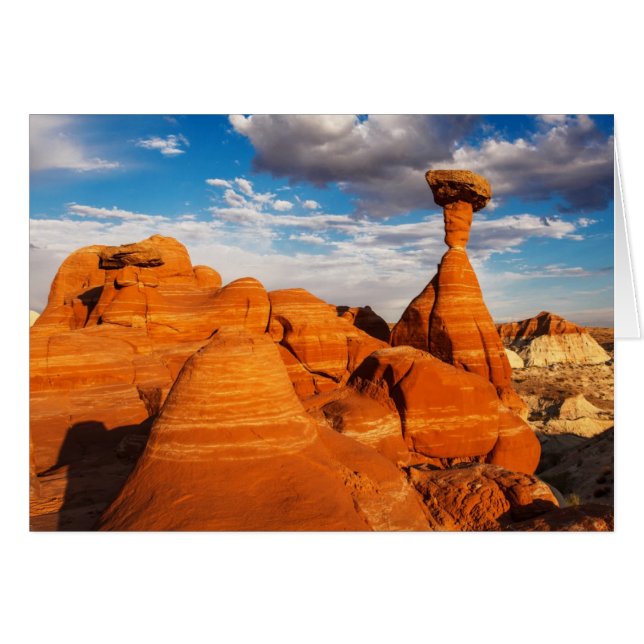 Los Toadstools (Anverso (Horizontal))