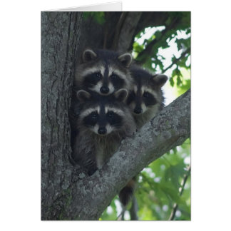 Los tres amigos