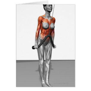 Los tríceps empujan plumones