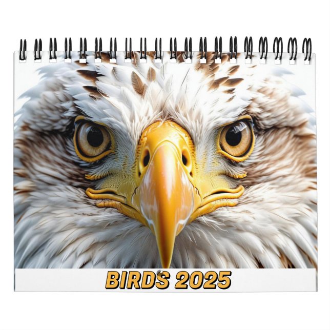 ¡LOS TUITEROS CALENDARIOS DE BIRDS 2025 SE ENCANTA (Tapa)