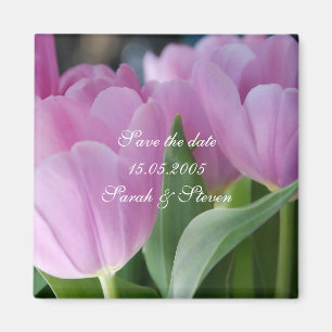 Los tulipanes rosados preciosos ahorran el imán de