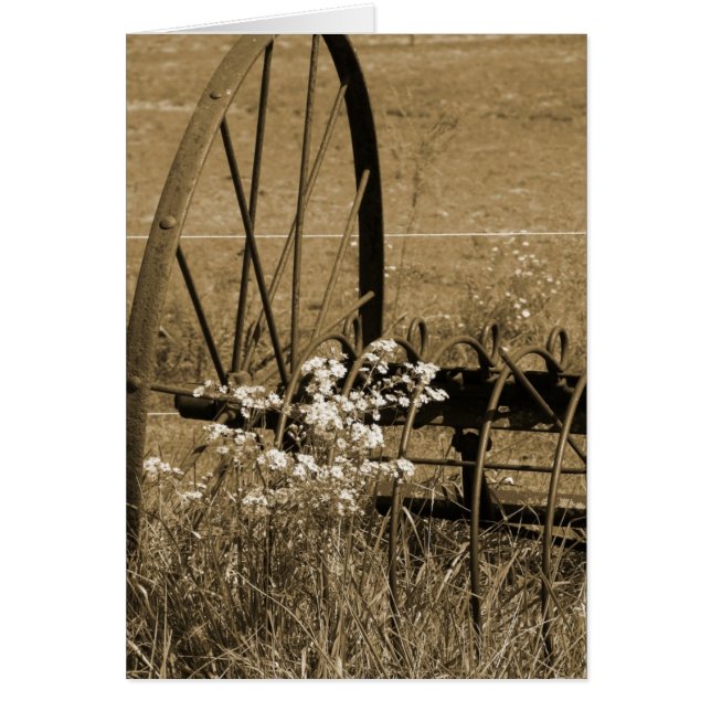 Los viejos tiempos (Frente)