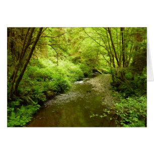 Lost Man Creek I en el Parque Nacional Redwood