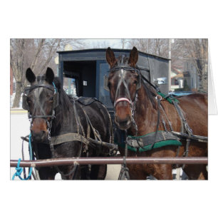 Lote de estacionamiento para caballos