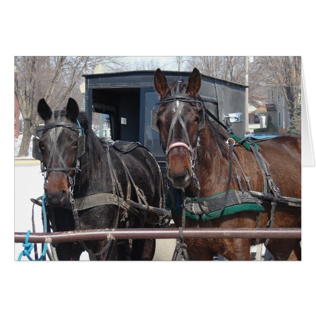 Lote de estacionamiento para caballos (Anverso (Horizontal))