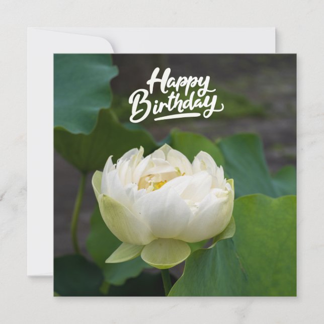 Loto blanco con la palabra Happy Birday Postcard (Anverso)