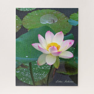 Lotus "Suihiren" [Rompecabezas: 520P] Rompecabezas