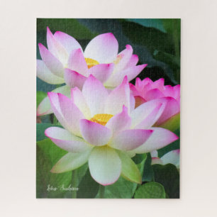 Lotus "Suihiren" [Rompecabezas: 520P] Rompecabezas