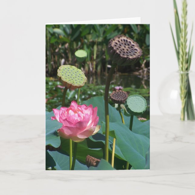 Lotus y Pods rosados - Tarjeta de felicitación (Anverso)