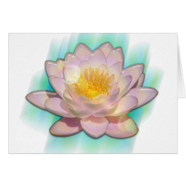 Lotusbloom (Anverso (Horizontal))