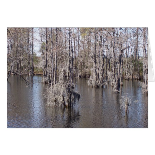 Louisiana Bayou Card (Anverso (Horizontal))