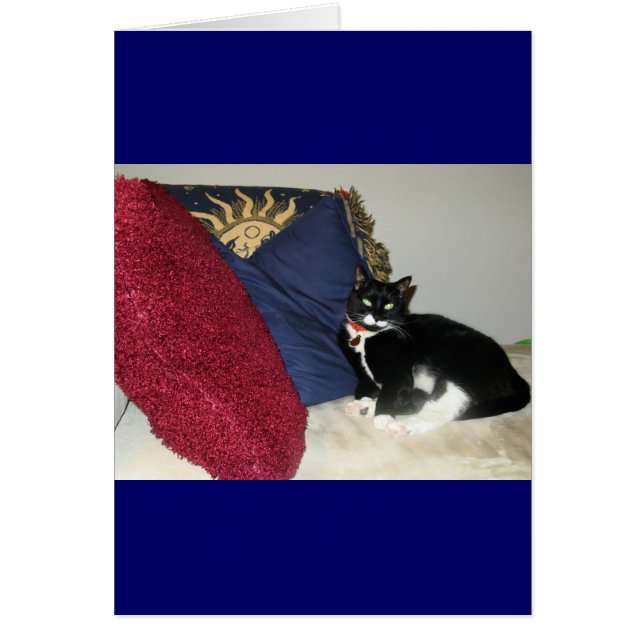 Lounging Lucy (Frente)